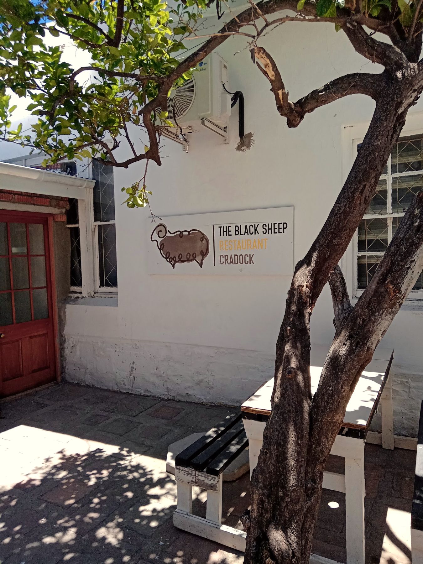 The Black Sheep